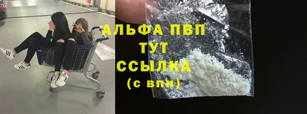 спиды Абаза