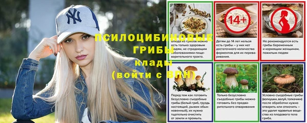 не бодяженный Нефтекумск