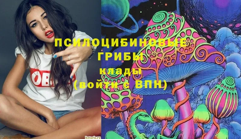 купить   Советская Гавань  Псилоцибиновые грибы Magic Shrooms 