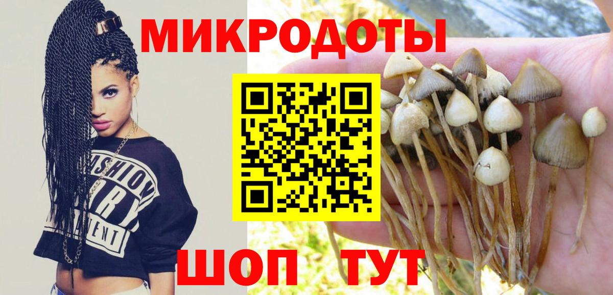 Псилоцибиновые грибы GOLDEN TEACHER Советская Гавань